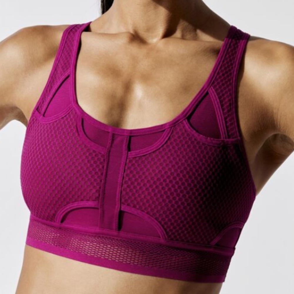 NWT Nike Berry Swoosh Ultrabreathe Sports Bra